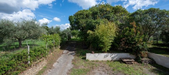 4 rooms Villa in Zagarolo, Italy No. 159079 44