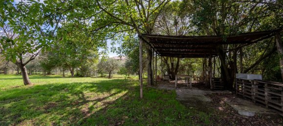 4 rooms Villa in Zagarolo, Italy No. 159079 11