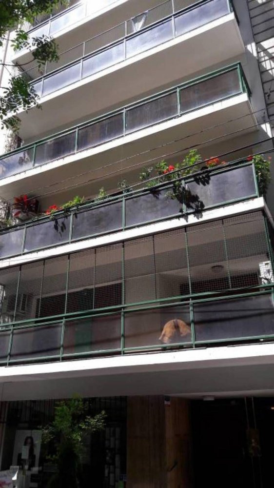 3 bedrooms Apartment in Buenos Aires, Argentina No. 68396