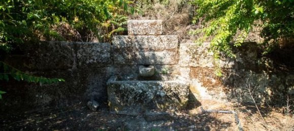 8 bedrooms Land in Sabrosa, Portugal No. 143529 11