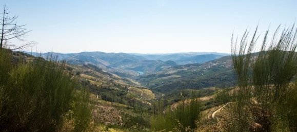 8 bedrooms Land in Sabrosa, Portugal No. 143529 3