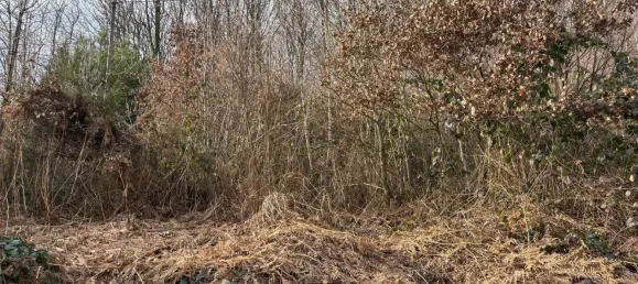 Terreno em Altenkirchen, Germany N.º 175109 5