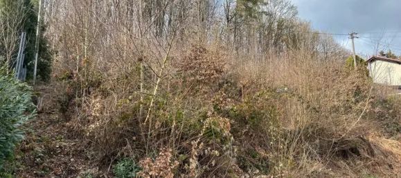 Terreno em Altenkirchen, Germany N.º 175109 4