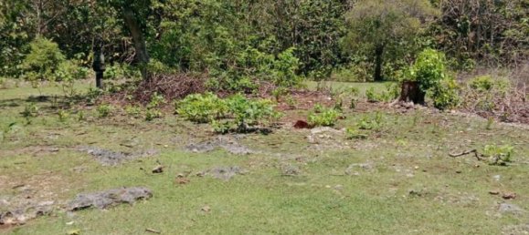 Terreno en South Kuta, Indonesia 1430 m² No. 4514 6