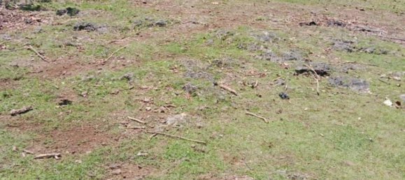 Terreno en South Kuta, Indonesia 1430 m² No. 4514 12