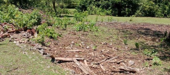 Terreno en South Kuta, Indonesia 1430 m² No. 4514 4