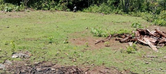 Terreno en South Kuta, Indonesia 1430 m² No. 4514 5