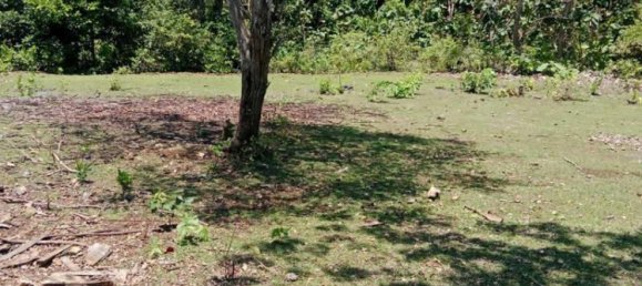 Terreno en South Kuta, Indonesia 1430 m² No. 4514 7