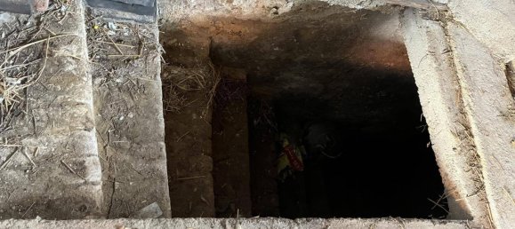 3غرفة منزل في Neusiedl an der Zaya, Austria رقم 247681 27