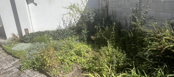 3غرفة منزل في Neusiedl an der Zaya, Austria رقم 247681 20