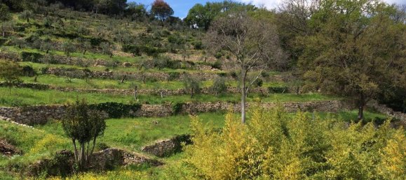Villa de 7 divisões em Camogli, Italy N.º 117361 2