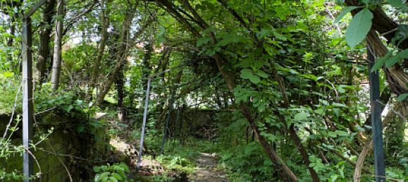 3-Zimmer Haus in Matzen-Raggendorf, Austria, Nr. 130534 6