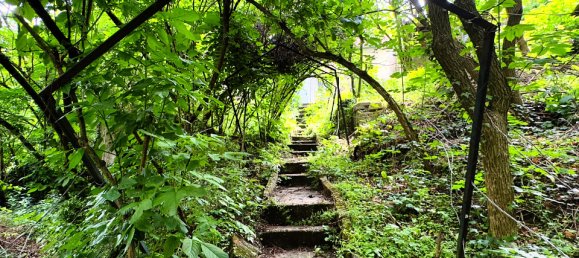 3-Zimmer Haus in Matzen-Raggendorf, Austria, Nr. 130534 7