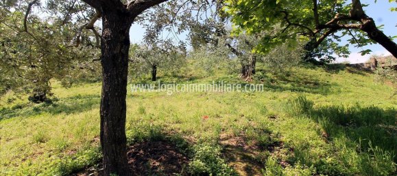 11 rooms House in Chiusi, Italy No. 161253 18