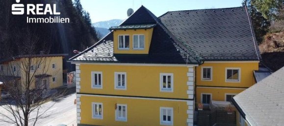 Коммерческая недвижимость 588м² в Лицен, Австрия № 141472 5