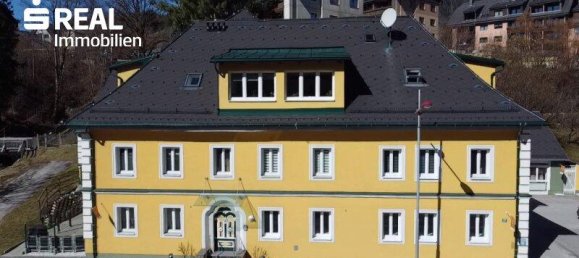 Коммерческая недвижимость 588м² в Лицен, Австрия № 141472 2