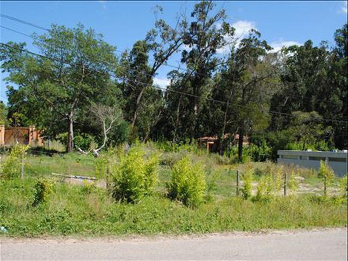  Land in Maldonado, Uruguay No. 16121