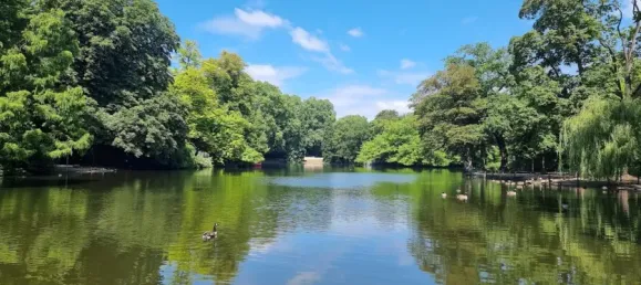 1 Schlafzimmer Wohnung in Cologne, Germany, Nr. 180034 9