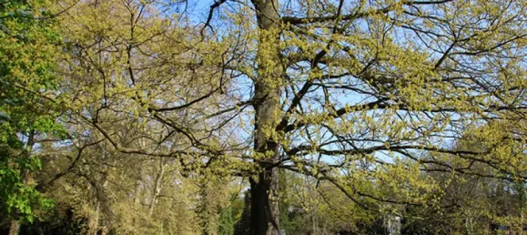 1 Schlafzimmer Wohnung in Cologne, Germany, Nr. 180034 10
