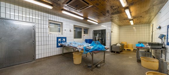 4 bedrooms Commercial property in Ammerland, Germany No. 162186 21