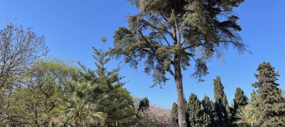 Ático de 4 dormitorios en Marbella, Spain No. 148728 20