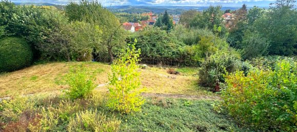 Таунхаус с 2 спальнями в Рейн-Неккар, Германия № 21741 6