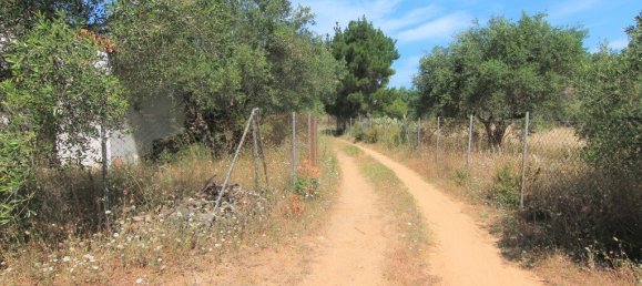 فندق في Corfu, Greece 10000متر مربع رقم 3928 7