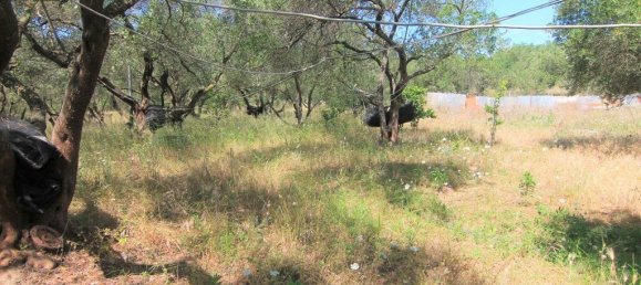 Hotel in Corfu, Greece 10000m², Nr. 3928 2