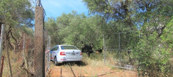 Hotel in Corfu, Greece 10000m², Nr. 3928 8