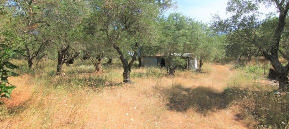 فندق في Corfu, Greece 10000متر مربع رقم 3928 5