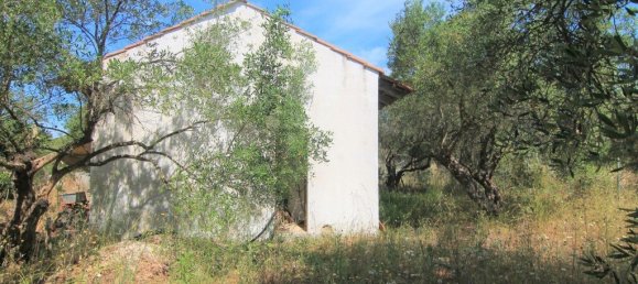 فندق في Corfu, Greece 10000متر مربع رقم 3928 3