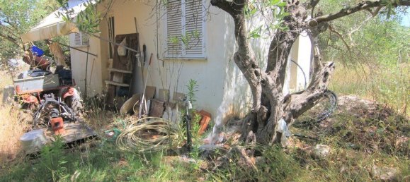 فندق في Corfu, Greece 10000متر مربع رقم 3928 4
