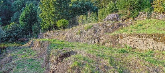 Studio in Ponte de Lima, Portugal, Nr. 27034 20