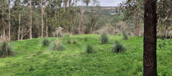 Terrain à Sintra, Portugal 12000m² No. 147816 44