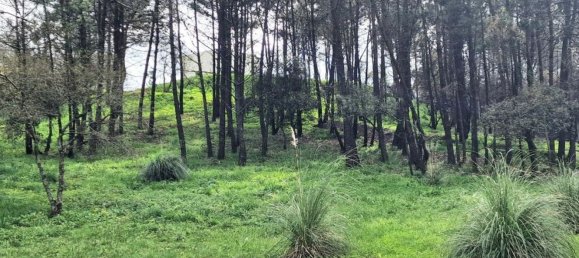 Terrain à Sintra, Portugal 12000m² No. 147816 45