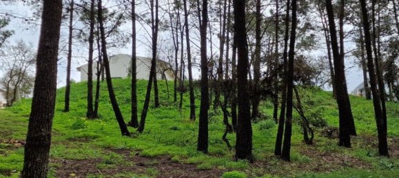 Terrain à Sintra, Portugal 12000m² No. 147816 46