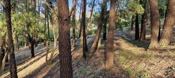 Terrain à Sintra, Portugal 12000m² No. 147816 48