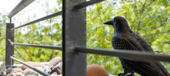 2 غرف نوم منزل ذو طابقين في Mainz, Germany رقم 274452 4