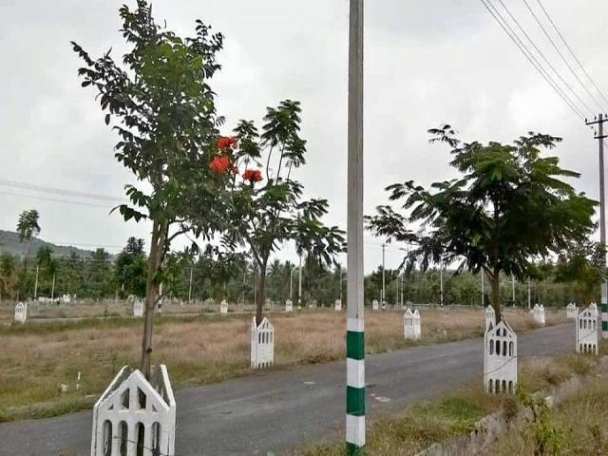 Terrain à Bangalore, India No. 32405