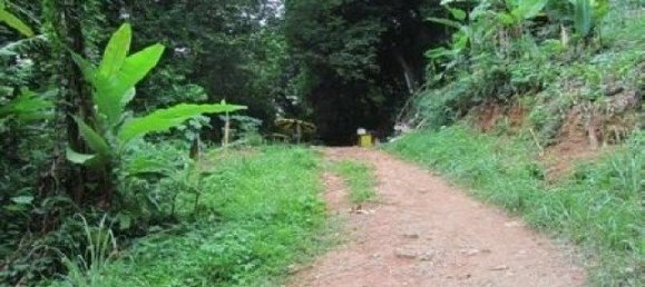 6799m² Commercial property in Karon, Thailand No. 12409 6