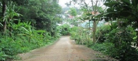 6799m² Commercial property in Karon, Thailand No. 12409 3