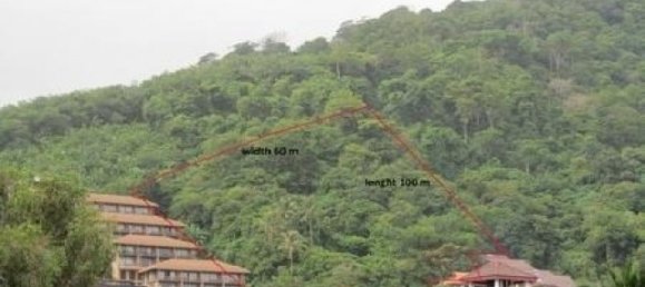 6799m² Commercial property in Karon, Thailand No. 12409 10