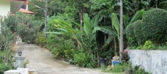 6799m² Commercial property in Karon, Thailand No. 12409 4