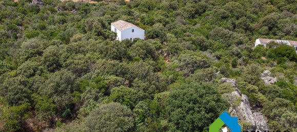 1 غرف نوم منزل في Olbia, Italy رقم 277657 7