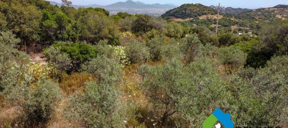 1 غرف نوم منزل في Olbia, Italy رقم 277657 32