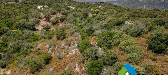 1 غرف نوم منزل في Olbia, Italy رقم 277657 10