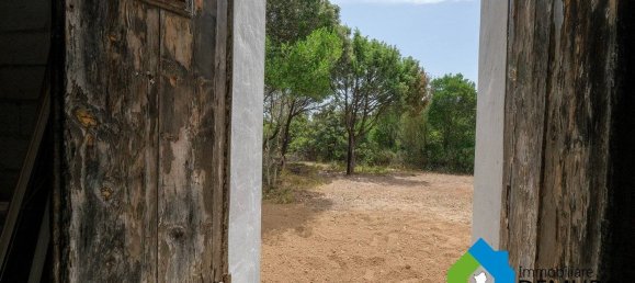 1 غرف نوم منزل في Olbia, Italy رقم 277657 6