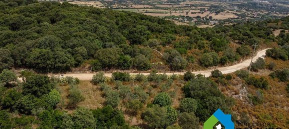 1 غرف نوم منزل في Olbia, Italy رقم 277657 35