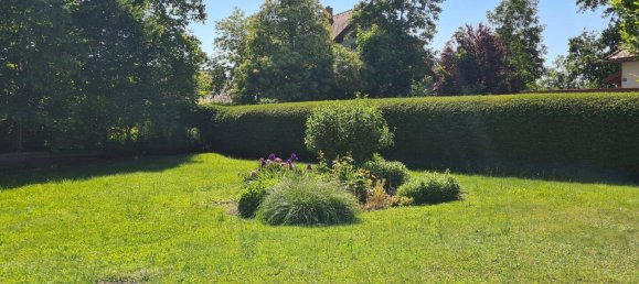 7 rooms House in Mureck, Austria No. 178066 23