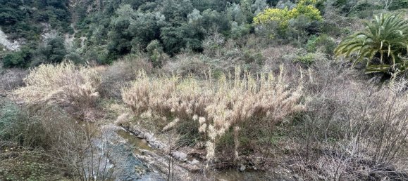 Дом с 5 комнатами в Перинальдо, Италия № 79850 15